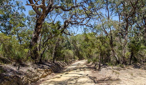Howes Trail - Hotels Melbourne 0