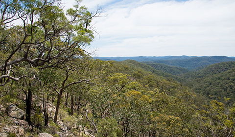 Howes Trail - Hotels Melbourne 2