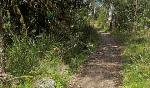 Devils Hole Lookout Walk And Picnic Area - Hotels Melbourne 2
