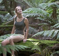 Barrington Tops National Park - Honeysuckle Forest Track - Hotels Melbourne
