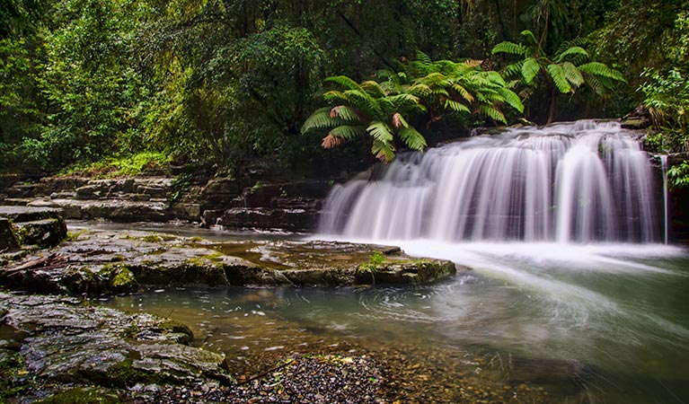 Chichester NSW Hotels Melbourne