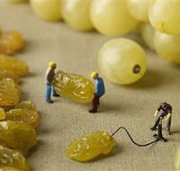 Hunter Valley Wine School - Hotels Melbourne