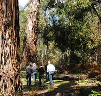 Tallaganda National Park - Hotels Melbourne