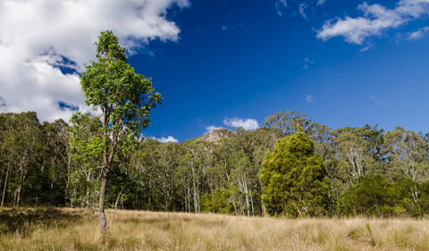 Brush Turkey Track - Hotels Melbourne 0