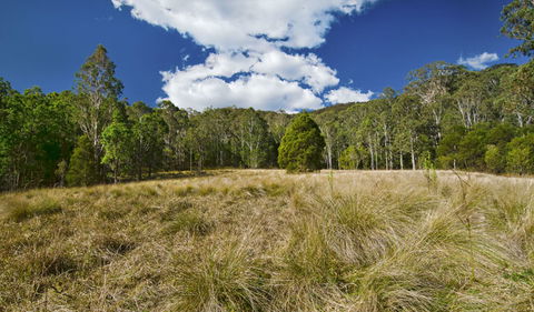 Brush Turkey Track - Hotels Melbourne 1