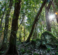 Copeland Tops State Conservation Area - Hotels Melbourne