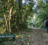 Basin Loop track - Hotels Melbourne