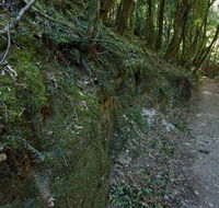 Hidden Treasure track - Hotels Melbourne