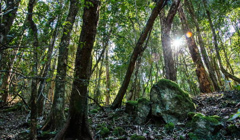 Hidden Treasure Track - Hotels Melbourne 1