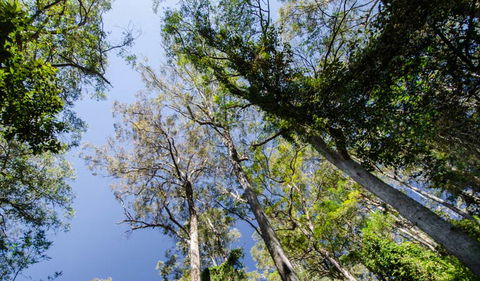 Hidden Treasure Track - Hotels Melbourne 3