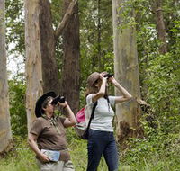 Chichester State Forest - Hotels Melbourne
