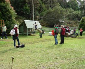 Forest Of Tranquillity - Australian Rainforest Sanctuary - Hotels Melbourne 0