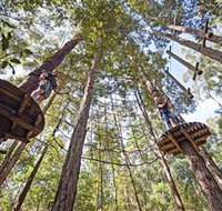 TreeTop Adventure Park Central Coast