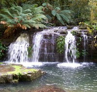 Barrington Tops National Park Walks - Hotels Melbourne