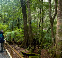 Monga National Park - Hotels Melbourne