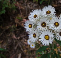 Hastings Forest Way touring route - Hotels Melbourne