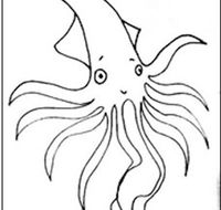 Squid Studio - Hotels Melbourne