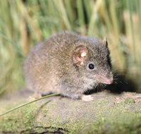 Munmorah State Conservation Area