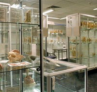 Museum of Human Disease - Hotels Melbourne