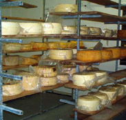 Harvey Cheese - Hotels Melbourne