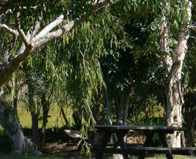 Casino NSW Hotels Melbourne