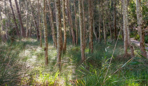 Anabranch Loop Track - Hotels Melbourne 0