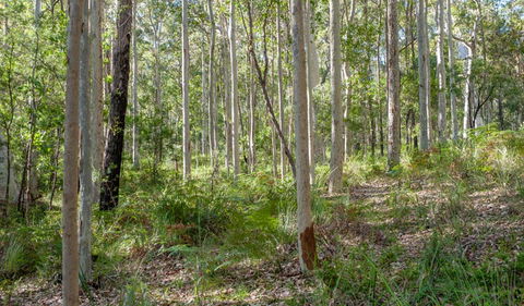 Anabranch Loop Track - Hotels Melbourne 2