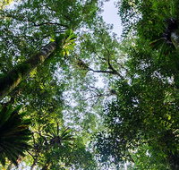 Botanic walk - Hotels Melbourne