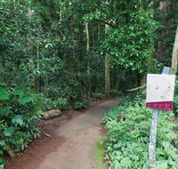Walk with the Birds boardwalk - Hotels Melbourne