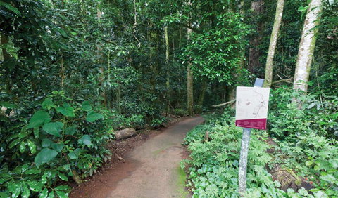 Walk With The Birds Boardwalk - Hotels Melbourne 0