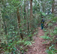 Blackbutt walking track - Hotels Melbourne