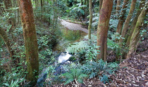 Blackbutt Walking Track - Hotels Melbourne 1
