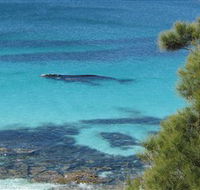Jervis Bay Marine Park - Hotels Melbourne