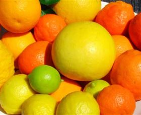 Fruit Salad Tree Company - Hotels Melbourne 2