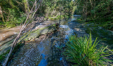 Dawson River Walking Track - Hotels Melbourne 0