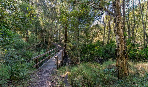 Dawson River Walking Track - Hotels Melbourne 1