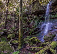 Coorabakh National Park - Hotels Melbourne
