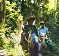 Clarendon Forest Retreat Horse Riding - Hotels Melbourne