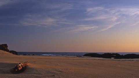 Bongil Bongil National Park - Hotels Melbourne 2