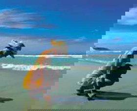 Diamond Beach - Hotels Melbourne 0