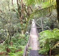 Bemm River Scenic Reserve - Hotels Melbourne