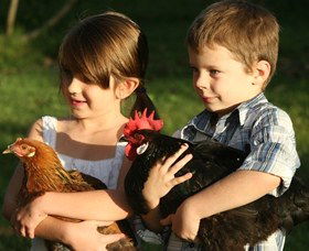 Summerland House Farm - House With No Steps - Hotels Melbourne 2
