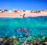 Snorkel the Ningaloo Reef