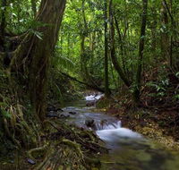 Trek North - Hotels Melbourne