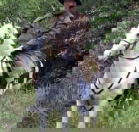 AAA Horse Riding  More - Hotels Melbourne