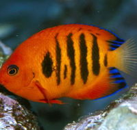 Cairns Marine - Hotels Melbourne