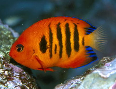 Cairns Marine - Hotels Melbourne 0