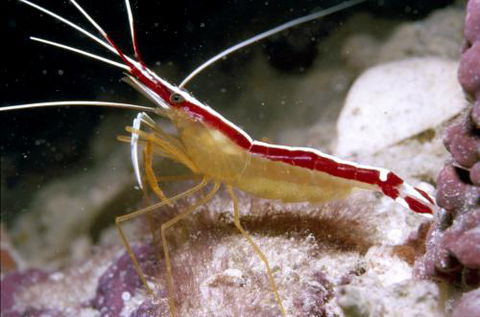 Cairns Marine - Hotels Melbourne 1