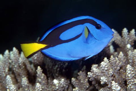 Cairns Marine - Hotels Melbourne 2