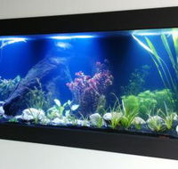 Aquariums in Cairns - Hotels Melbourne